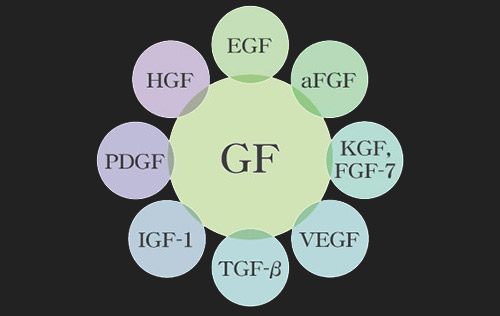 150種類以上の成長因子グロースファクター