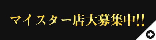 エリクセルマイスター制度